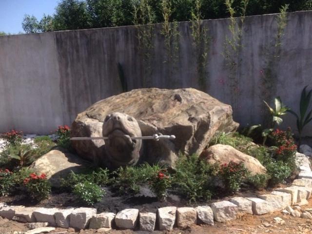Rùa đá nặng 20 tấn, 600 triệu không bán của nghệ nhân Đồng Nai