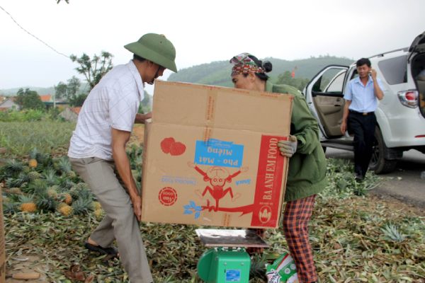Nghệ An: Quả trăm mắt rớt giá thảm, nông dân quay quắt tìm đầu ra - 1