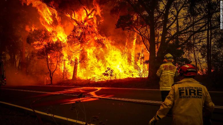 Úc: Chim thông minh biết dùng lửa để săn mồi, khiến cháy rừng trở thành đại họa - 4