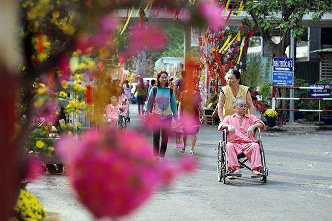 Đường hoa Tết “đặc biệt” trong bệnh viện ở Sài Gòn: “Má ngồi đây, con chụp ảnh cho má nghen” - 1