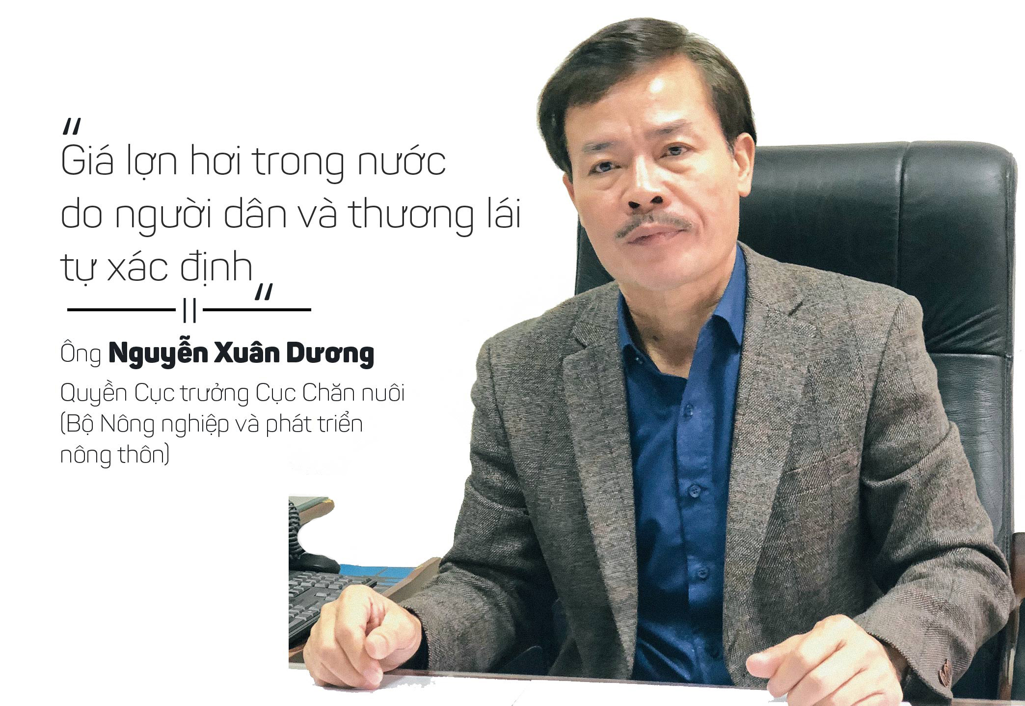 Tăng phi mã, đắt hơn thịt bò, giá lợn Tết "con chuột" sẽ đi về đâu? - 5