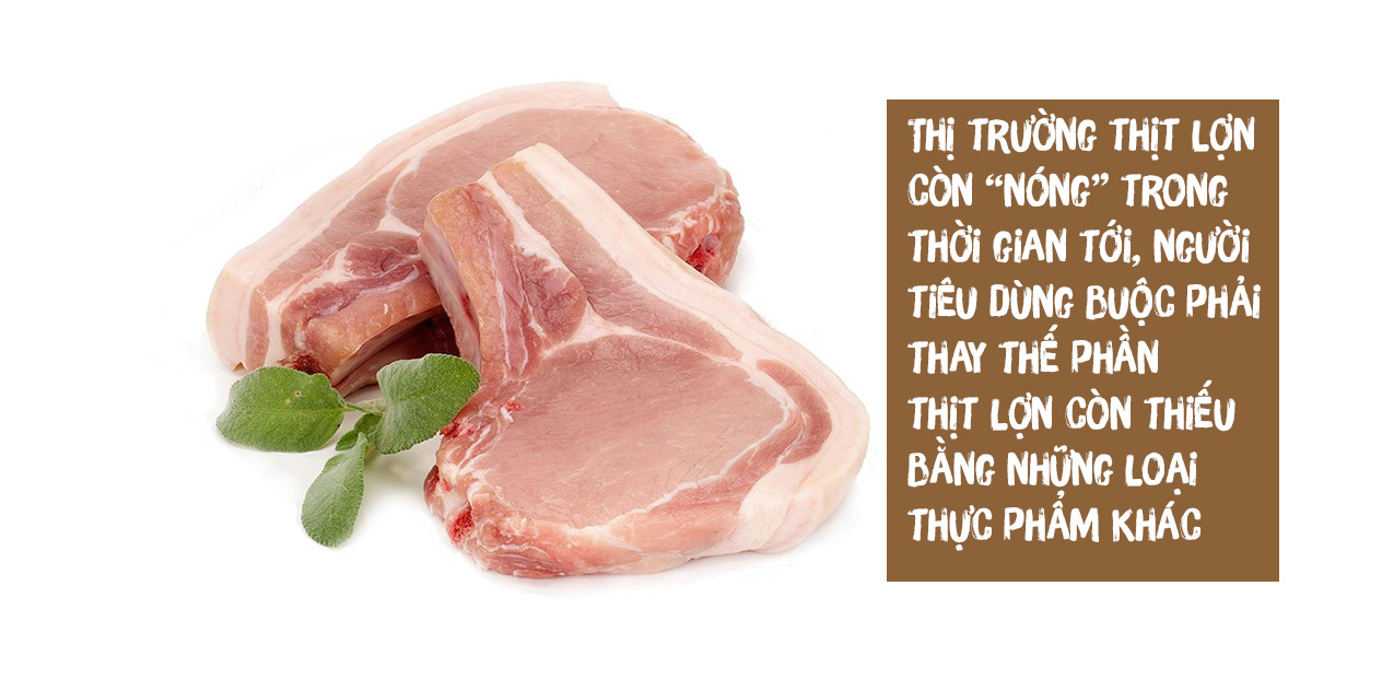 Tăng phi mã, đắt hơn thịt bò, giá lợn Tết "con chuột" sẽ đi về đâu? - 10