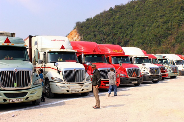 Hàng trăm container nông sản nằm chờ ở cửa khẩu: Nhà nông lao đao vì dịch Corona - 1