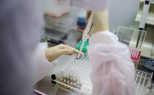 WHO công bố thời gian thử nghiệm vắc-xin chống COVID-19 trên người - 1