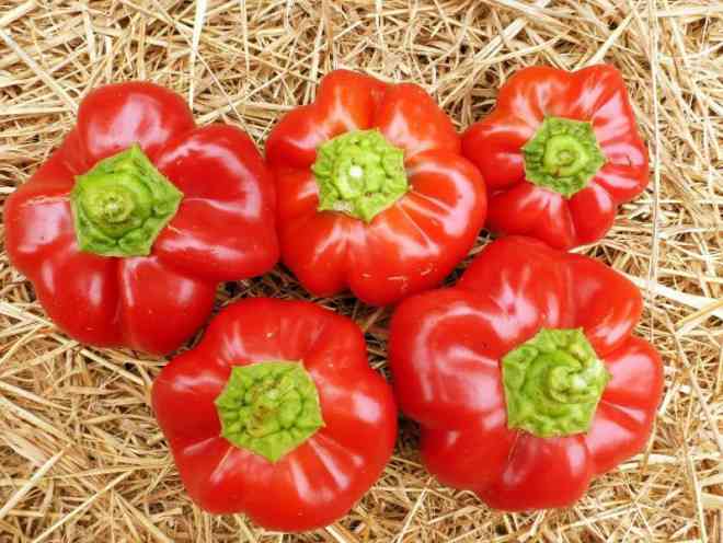 Quả ớt giúp ngăn ngừa bệnh ung thư? - 1