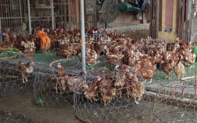Thị trường tuần qua: Tiểu thương kêu trời vì COVID-19, mở mắt ra mất 4 triệu đồng - 1