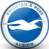 Trực tiếp bóng đá Brighton - Crystal Palace: Thắng lợi sít sao (Hết giờ) - 1