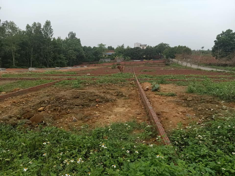 Hà Nội: Sốt đất Thạch Thất giữa mùa dịch, kết cục chỉ béo “cò” - 2