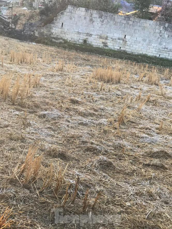 Sương muối bao phủ, trắng nhà cửa, ruộng đồng ở Lạng Sơn - 3