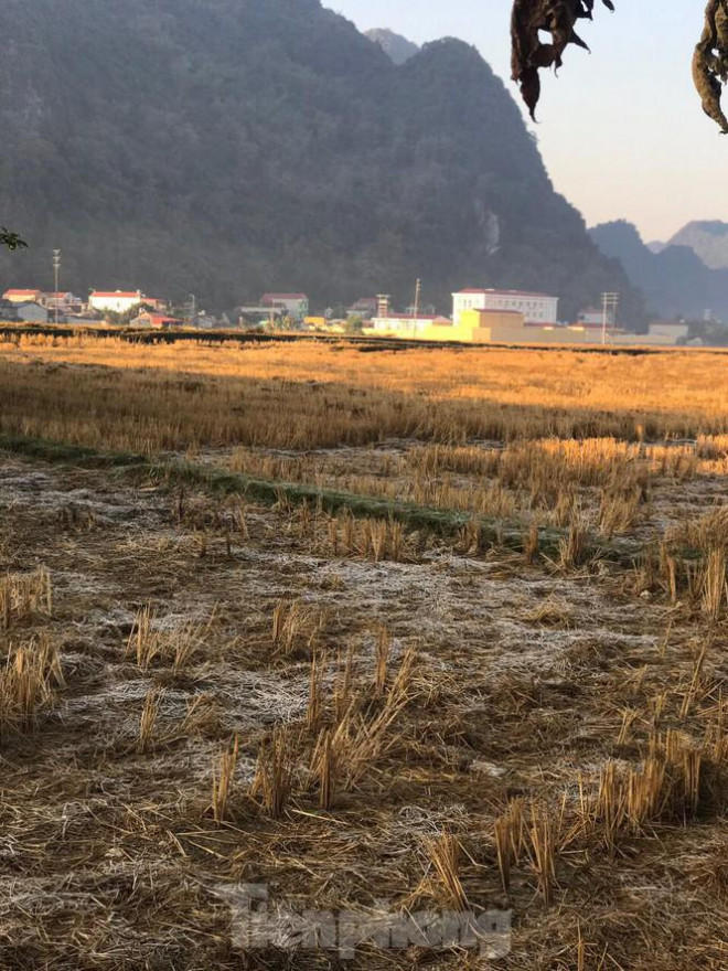 Sương muối bao phủ, trắng nhà cửa, ruộng đồng ở Lạng Sơn - 9