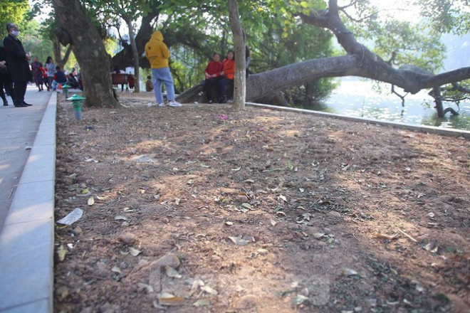 Thảm hoa hồ Hoàn Kiếm "nát bươm" sau giao thừa và Tết Dương lịch - 3