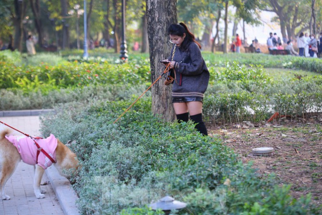 Thảm hoa hồ Hoàn Kiếm "nát bươm" sau giao thừa và Tết Dương lịch - 13