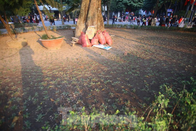 Thảm hoa hồ Hoàn Kiếm "nát bươm" sau giao thừa và Tết Dương lịch - 17