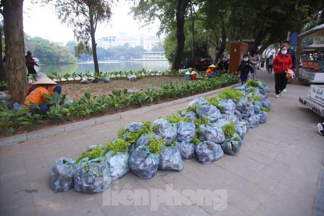 Thảm hoa hồ Hoàn Kiếm "nát bươm" sau giao thừa và Tết Dương lịch - 20