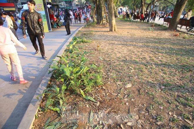 Tin tức 24h qua: Tài xế đánh người gãy răng vì bị nhắc dừng đèn đỏ quá lâu khai gì? - 3