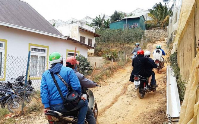 Du khách bị ‘chặt chém’ trên đường vào ngắm rừng mai anh đào ở Đà Lạt - 3