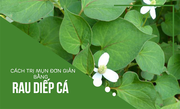 10 cách trị mụn đầu đen ở mũi tận gốc tại nhà an toàn và hiệu quả nhất - 9