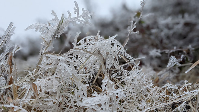 Nhiệt độ xuống dưới 0 độ C, băng giá phủ trắng nhiều nơi trong đợt rét khốc liệt ở miền Bắc - 10