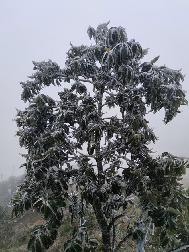 Nhiệt độ xuống dưới 0 độ C, băng giá phủ trắng nhiều nơi trong đợt rét khốc liệt ở miền Bắc - 14