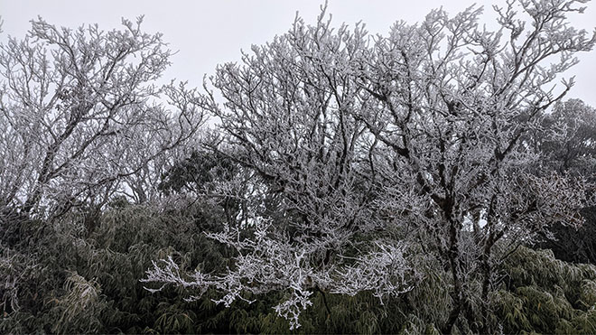 Nhiệt độ xuống dưới 0 độ C, băng giá phủ trắng nhiều nơi trong đợt rét khốc liệt ở miền Bắc - 2