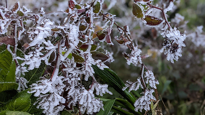 Nhiệt độ xuống dưới 0 độ C, băng giá phủ trắng nhiều nơi trong đợt rét khốc liệt ở miền Bắc - 7