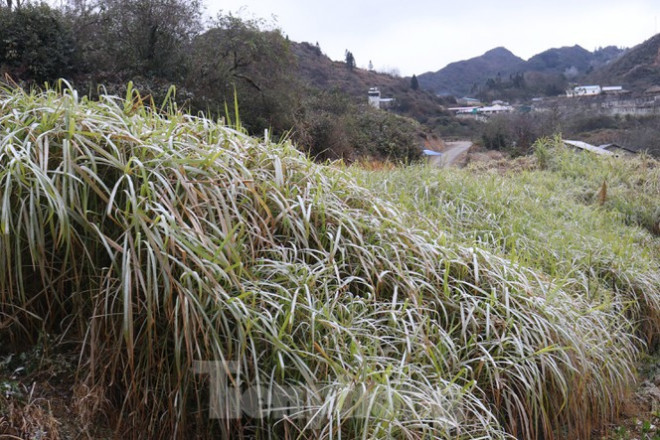 Xuất hiện băng tuyết tại xã biên giới Mèo Vạc - Hà Giang - 4