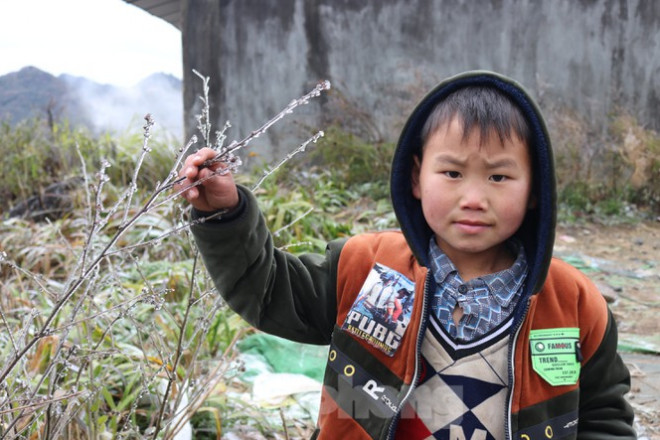 Xuất hiện băng tuyết tại xã biên giới Mèo Vạc - Hà Giang - 5