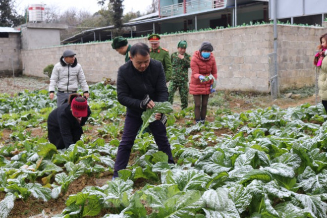Xuất hiện băng tuyết tại xã biên giới Mèo Vạc - Hà Giang - 9