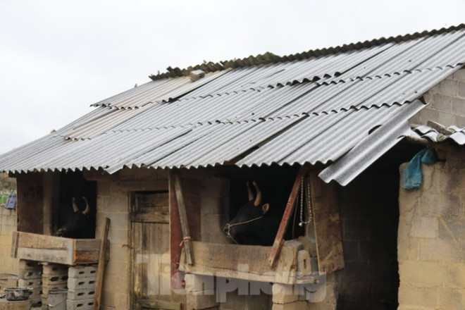 Xuất hiện băng tuyết tại xã biên giới Mèo Vạc - Hà Giang - 8