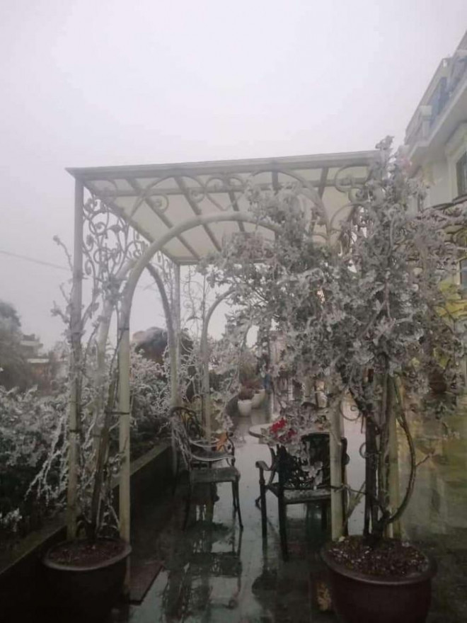 Tuyết trắng bao phủ nhiều nơi ở tỉnh Lào Cai - 9