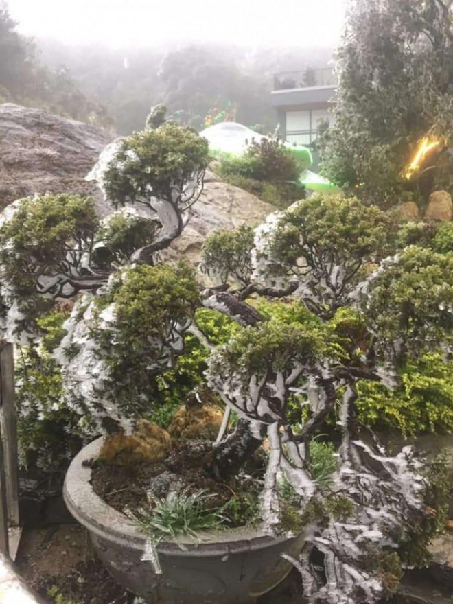 Tuyết trắng bao phủ nhiều nơi ở tỉnh Lào Cai - 7