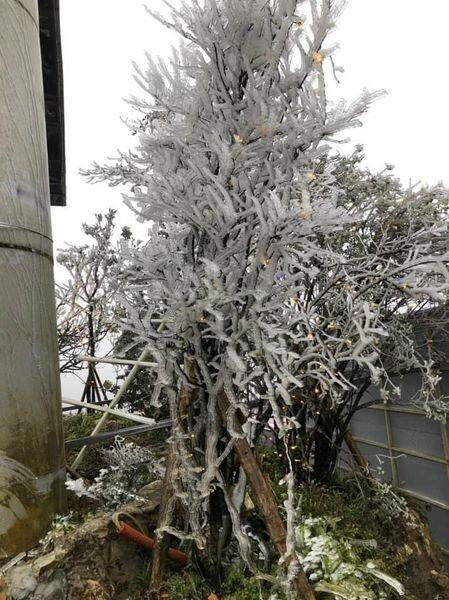 Tuyết trắng bao phủ nhiều nơi ở tỉnh Lào Cai - 4