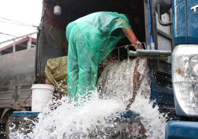 Tay trần bê đá lạnh, bắt cá tươi trong cái rét thấu xương Hà Nội - 3