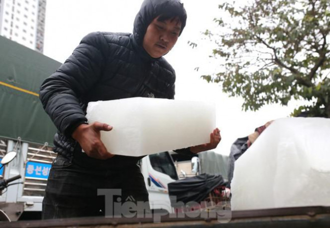 Tay trần bê đá lạnh, bắt cá tươi trong cái rét thấu xương Hà Nội - 12