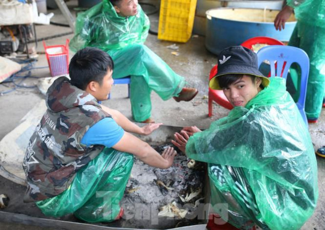 Tay trần bê đá lạnh, bắt cá tươi trong cái rét thấu xương Hà Nội - 14