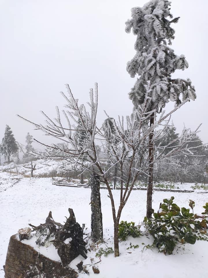 Ảnh: Tuyết rơi phủ trắng Y Tý và Sa Pa, ngỡ như lạc bước ở trời Âu - 6