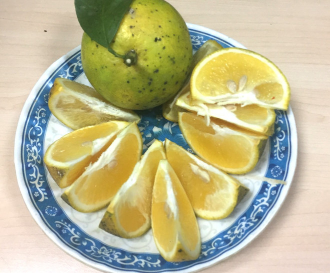 Thực phẩm bạn không bao giờ nên ăn vào bữa sáng - 1