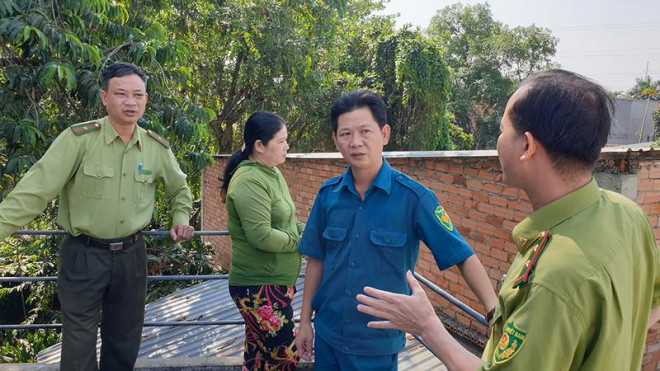 Cận cảnh đàn khỉ hơn 10 con trước khi bị bắn thuốc mê - 15