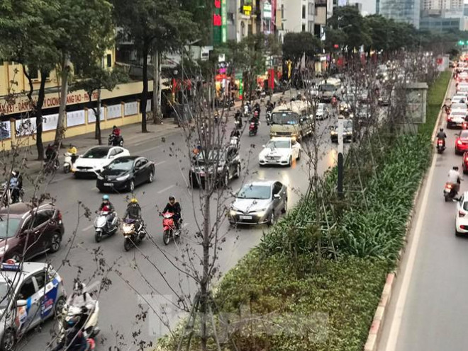 Qua ba mùa rét, hàng phong trồng tại Hà Nội vẫn chưa đỏ lá - 9