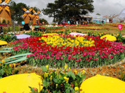 Có gì đặc sắc ở lễ hội hoa "kỷ lục" hơn 120 triệu Euro tại Quảng Bình?