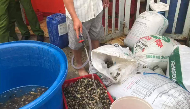 TP.HCM: Phát hiện hơn 1,3 tấn ốc bươu ngâm hóa chất trước khi bán ra chợ và tiệm ăn - 4