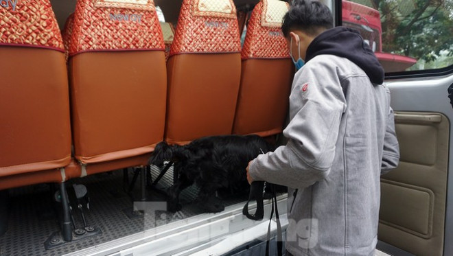 Cảnh khuyển tham gia rà soát xe phục vụ Đại hội XIII - 3