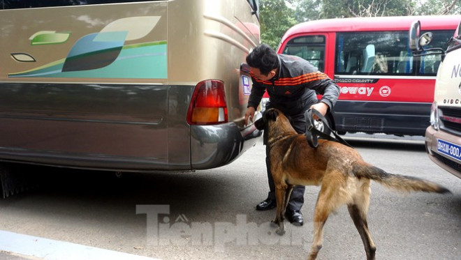 Cảnh khuyển tham gia rà soát xe phục vụ Đại hội XIII - 10