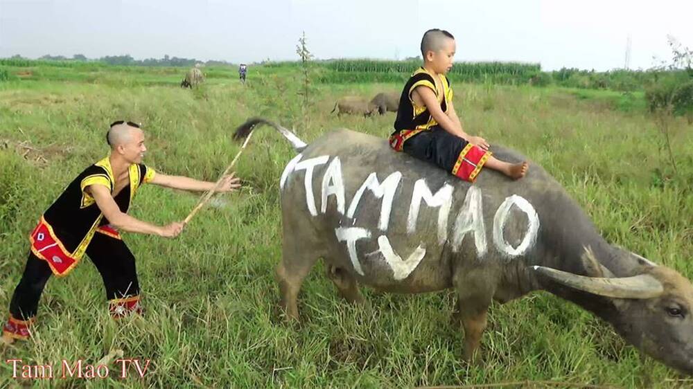 Người đẹp giúp anh em Tam Mao mua xe tiền tỷ, xây biệt thự to nhất làng là ai? - 1