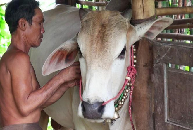 Dị nhân miền Tây và những biệt tài 'siêu độc' - 2