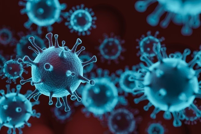 Mức độ nguy hiểm của những chủng virus Corona mới - 3