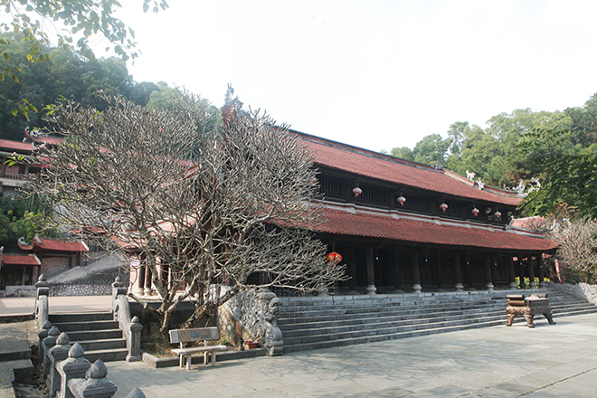 Chánh điện làm từ 600m3 gỗ lim ở Hà Nội - 12