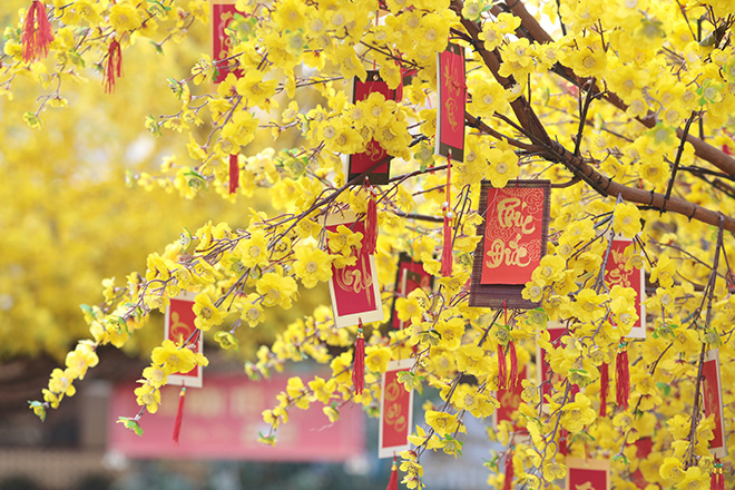 Thiếu nữ Sài Gòn xúng xính áo dài, dạo phố ông đồ những ngày giáp Tết - 4