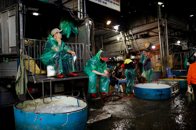 Ghé chợ có nhiều cá chép bậc nhất Hà Nội trước ngày ông Công ông Táo - 3