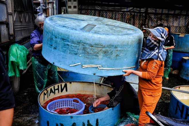 Ghé chợ có nhiều cá chép bậc nhất Hà Nội trước ngày ông Công ông Táo - 4